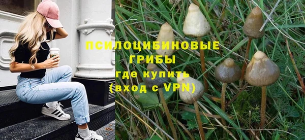 бошки Абинск