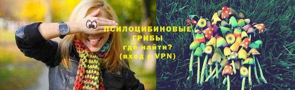 бошки Абинск