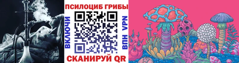 Псилоцибиновые грибы мицелий  Тольятти 